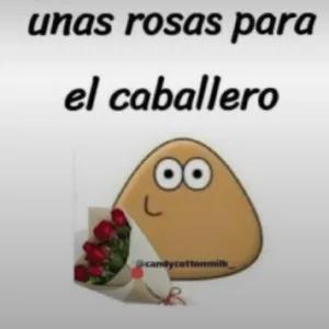 9oo0gz