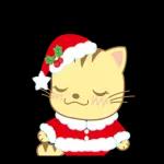 星貓寶寶♪ 聖誕節 - 繁體中文版