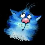 Blue Cats
                            Rina Zenyuk