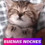 buen dia