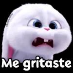 Brenda 