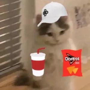XbgXxJ