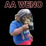 beber