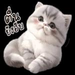 ตังค์หมด