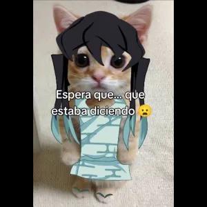 8kkuRj