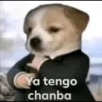  tuuuu