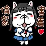 豆卡頻道-茶寶丸萌犬篇