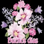 buenos días
