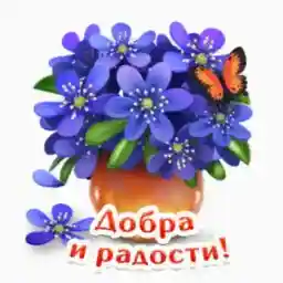 позитив