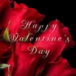 February 14th 2023