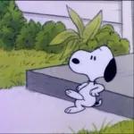snoopy