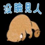 小玩笑小水獺--好耶！