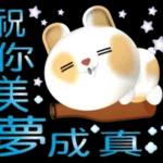 可愛兔米莉日常生活～