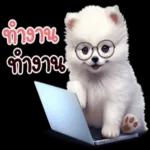 หรือเจอเรื่องอะไรมาก็ตาม