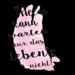 Alles kann warten nur das Leben's nicht! sile