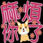 可愛柯基 大字超實用日常生活用語
