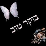 הורדה חינם, עדכונים יומיים, אין צורך בכניסה