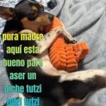 pura madre aquí esta bueno para aser un piche tutzi tutzi tutzi