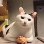 Have a deep breath🫁