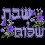 שבת שלום