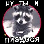 ПРОИЗОШЛО НЕДОРАЗУМЕНИЕ Верните деньги