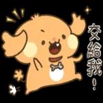 貴賓狗妞妞-好禮貌好親切