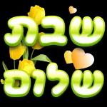 חג פסח שמח 🩷