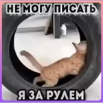 жизнь дерьмо но мы с лопатой