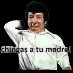 chinga tu madre