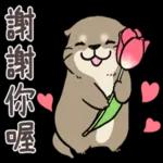 好用的水獺貼圖 pack