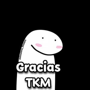 @Giseelove_Stickers Gracias TKM - getsticker.com