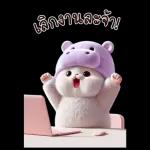 แมวฮิปโปสุดน่ารัก : คุยกันทุกวัน(BIG)