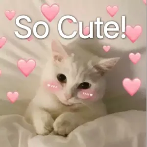 8q2kbw