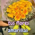 tus flores amarillas