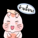 ขอเสือกหน่อยสิ๊