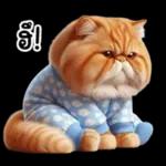 แมวขี้โมโหในชุดนอนสีอ่อน