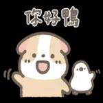 天竺鼠布丁～～超可愛鴨