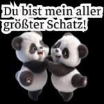 süße Panda❤️😍