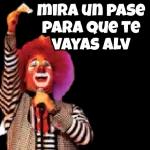 perros