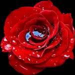 Einen schönen
Nachmittag für euch