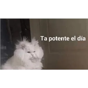 6CTMj4