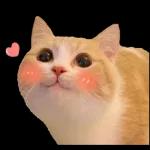 ❤️❤️❤️