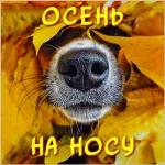 штшмнагишьзьхбх