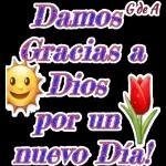 nuevo año