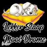 Riekie
Nite Nite
Sweet Dreams