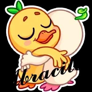 nQIR3R