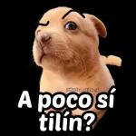 @ballolet88 Aqui toi pa' ti bebé