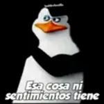 pegatinas 