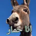 انا عاوز أقصم