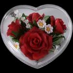 Go check some awsome stickers>>>